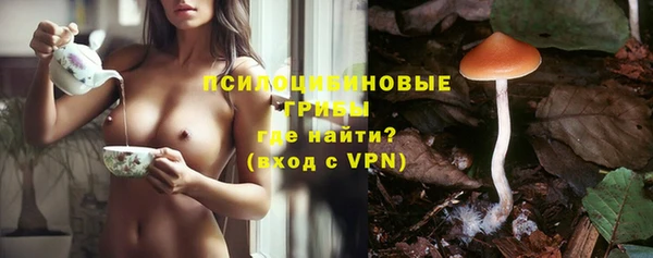 марки lsd Богданович