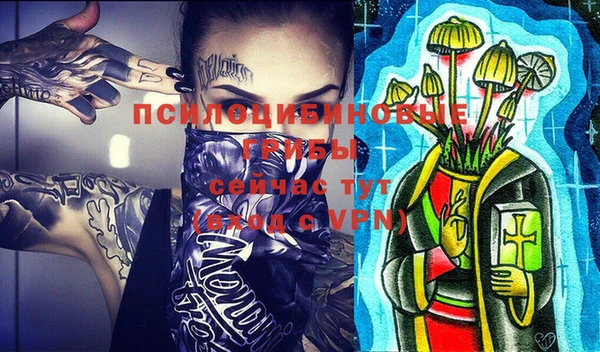 марки lsd Богданович
