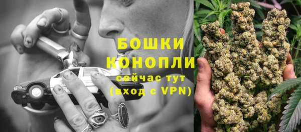 ГАЛЛЮЦИНОГЕННЫЕ ГРИБЫ Богородицк