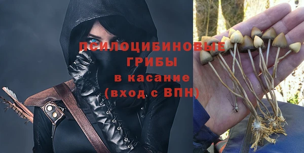 марки lsd Богданович