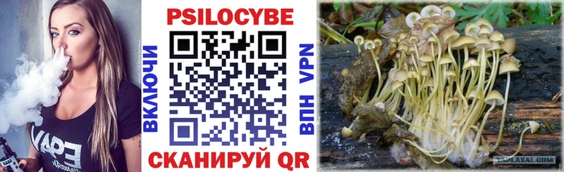 Галлюциногенные грибы Psilocybe  блэк спрут ссылка  Мытищи 