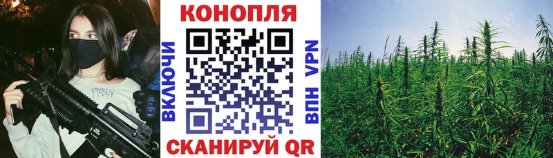 Канабис VHQ  Мытищи 